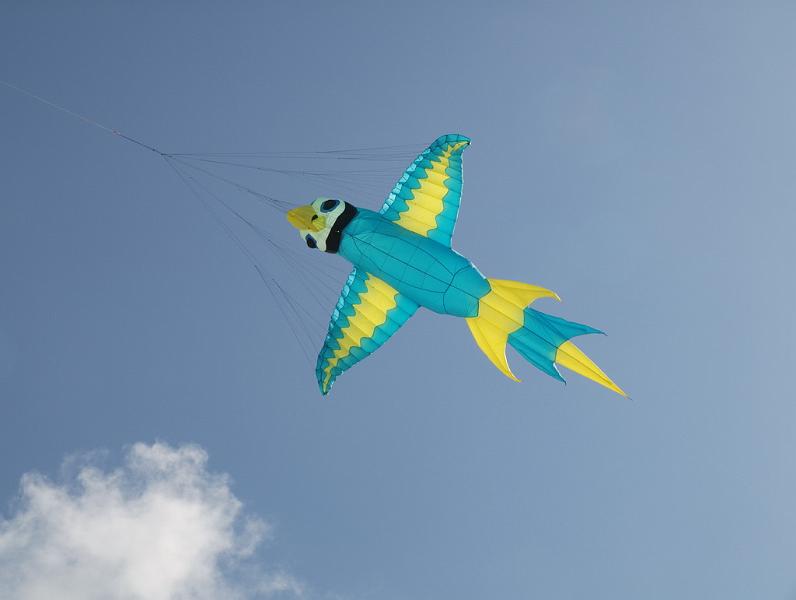 Fanø 2009 07.jpg